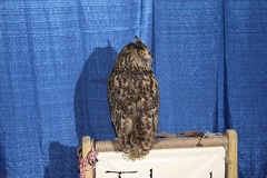 IMG 7561