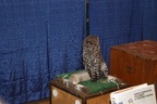 IMG 7562