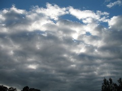 R-IMG 0301