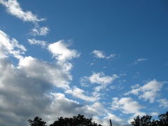 R-IMG 0302