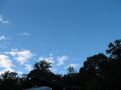 R-IMG 0303