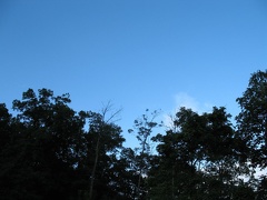 R-IMG 0305