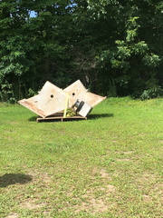 IMG 3334